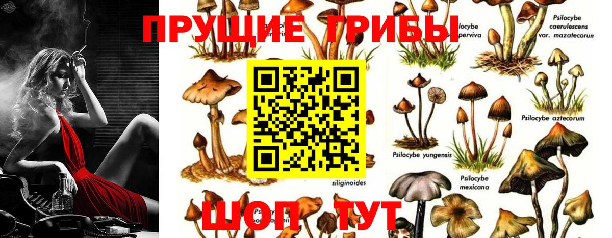 Псилоцибиновые грибы ЛСД Надым